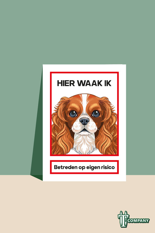 Hier waak ik - King charles cavelier