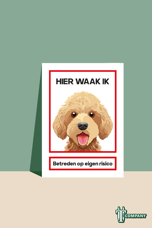 Hier waak ik - Labradoodle