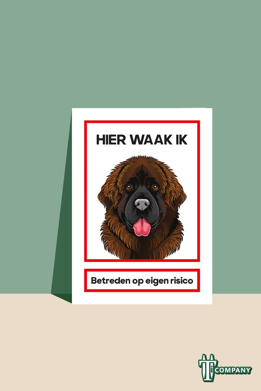 Hier waak ik - Newfoundlander