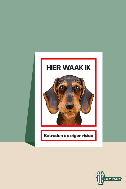 Hier waak ik - Teckel ruwharig